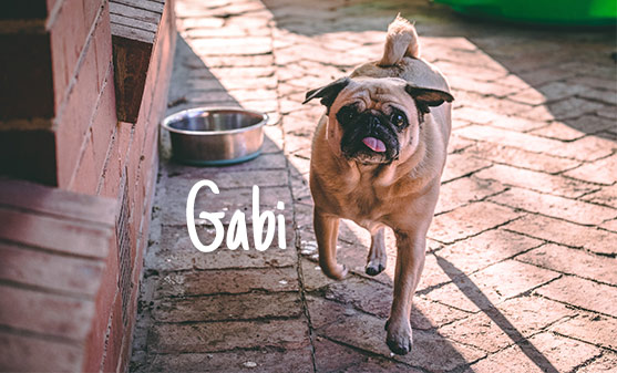 Gabi